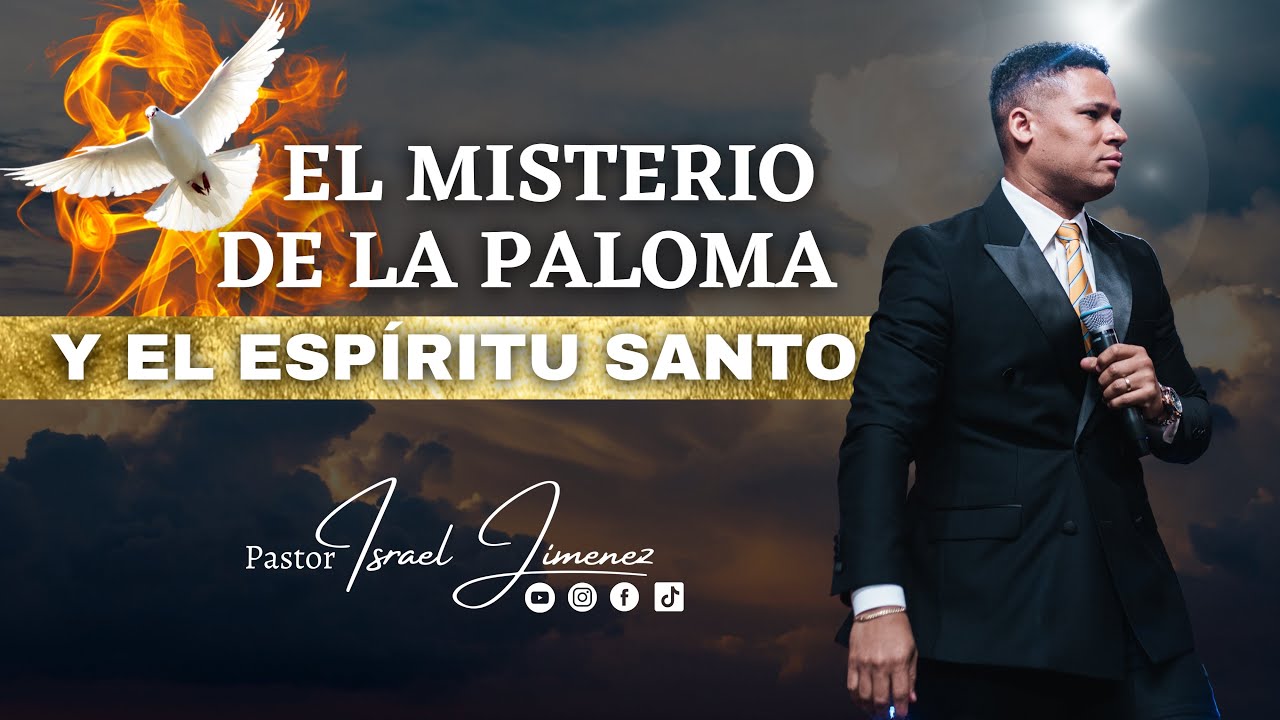 Paloma del Espíritu Santo: 7 significados que debes conocer 13 paloma del espiritu santo
