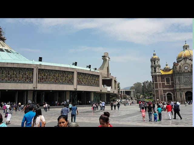 Plaza Mariana: 5 razones para visitarla en 2025 y disfrutarla 13 plaza mariana