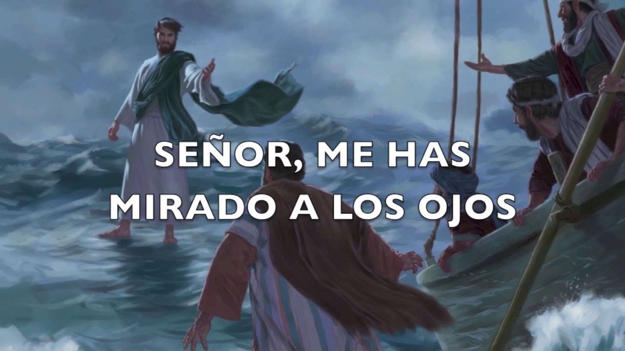 Seño, me has mirado a los ojos: 7 mensajes ocultos que revelan todo 4 seño me has mirado a los ojos