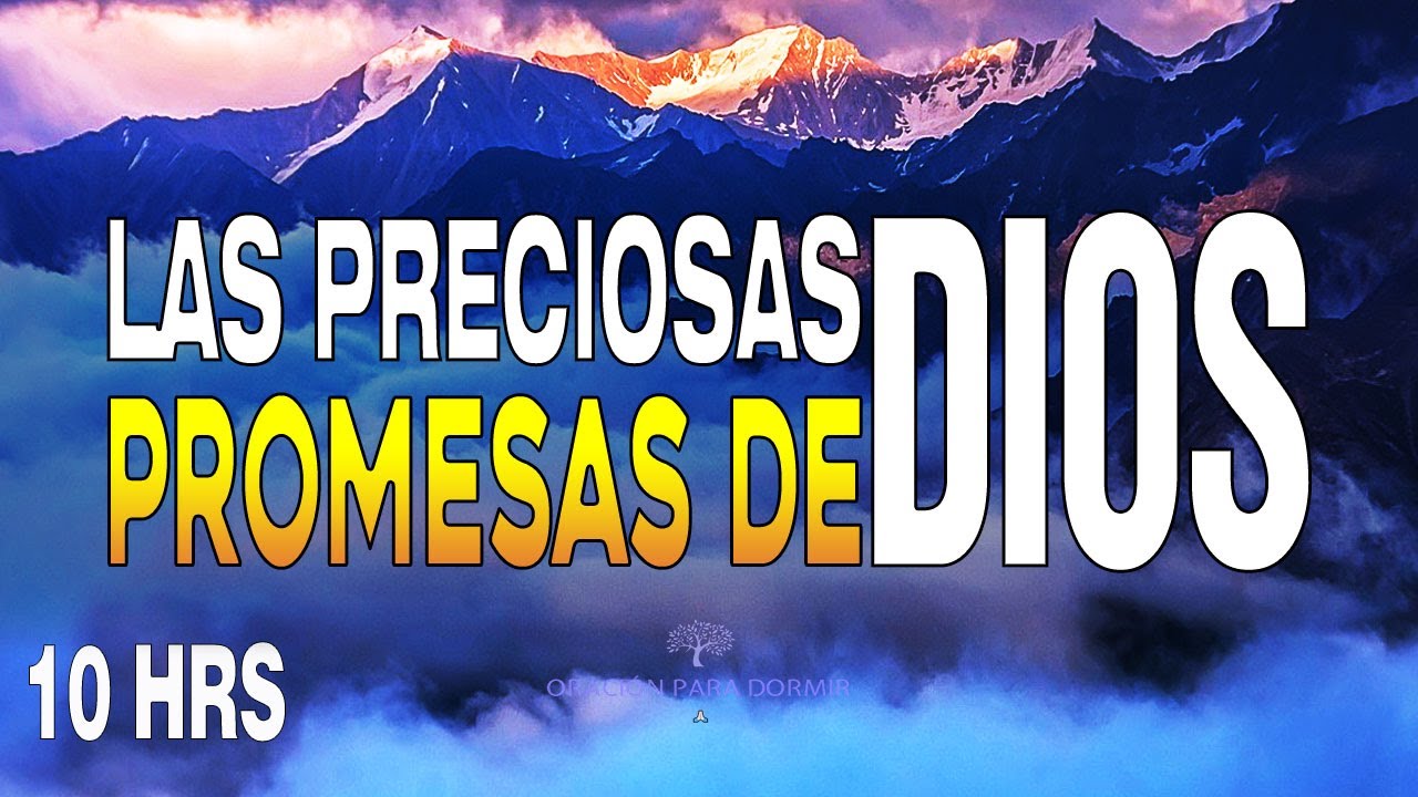 Versículos bíblicos: 7 sabidurías para guiar tu vida 13 versiculos biblicos