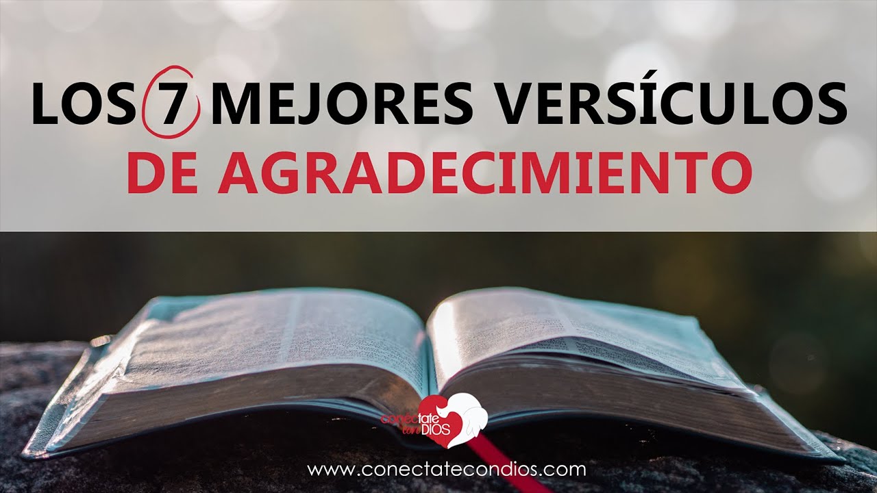 Agradezco a Dios: 7 bendiciones que transforman vidas 13 versiculos de agradecimiento a dios por las bendiciones recibidas