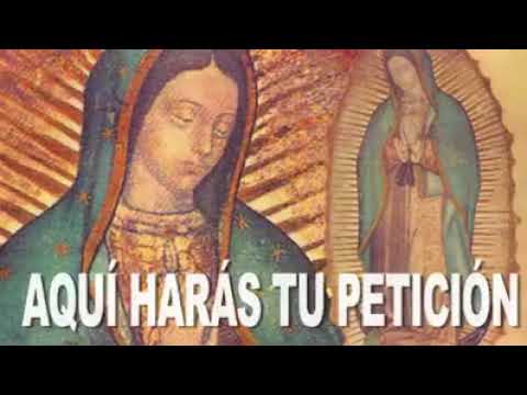 Virgen de Guadalupe: 7 datos sorprendentes que debes conocer 13 virgen de guadalupe