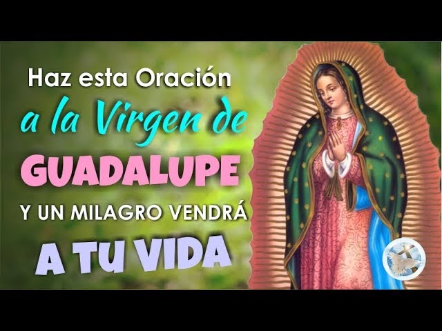 Virgen Guadalupe: 7 milagros que transforman vidas en 2025 13 virgen guadalupe