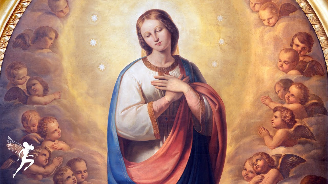 Virgen María: 7 milagros que sorprendieron en 2025 13 virgen maria